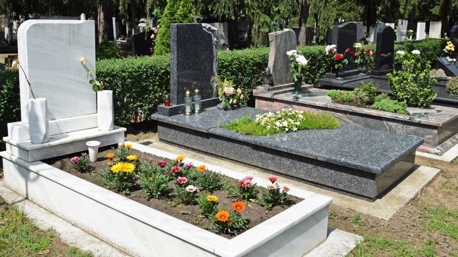 מצבה כפולה, זוגית ומכפלה 1 חלקת קבר מטופחת עם ערוגת פרחים ומשוכה ירוקה